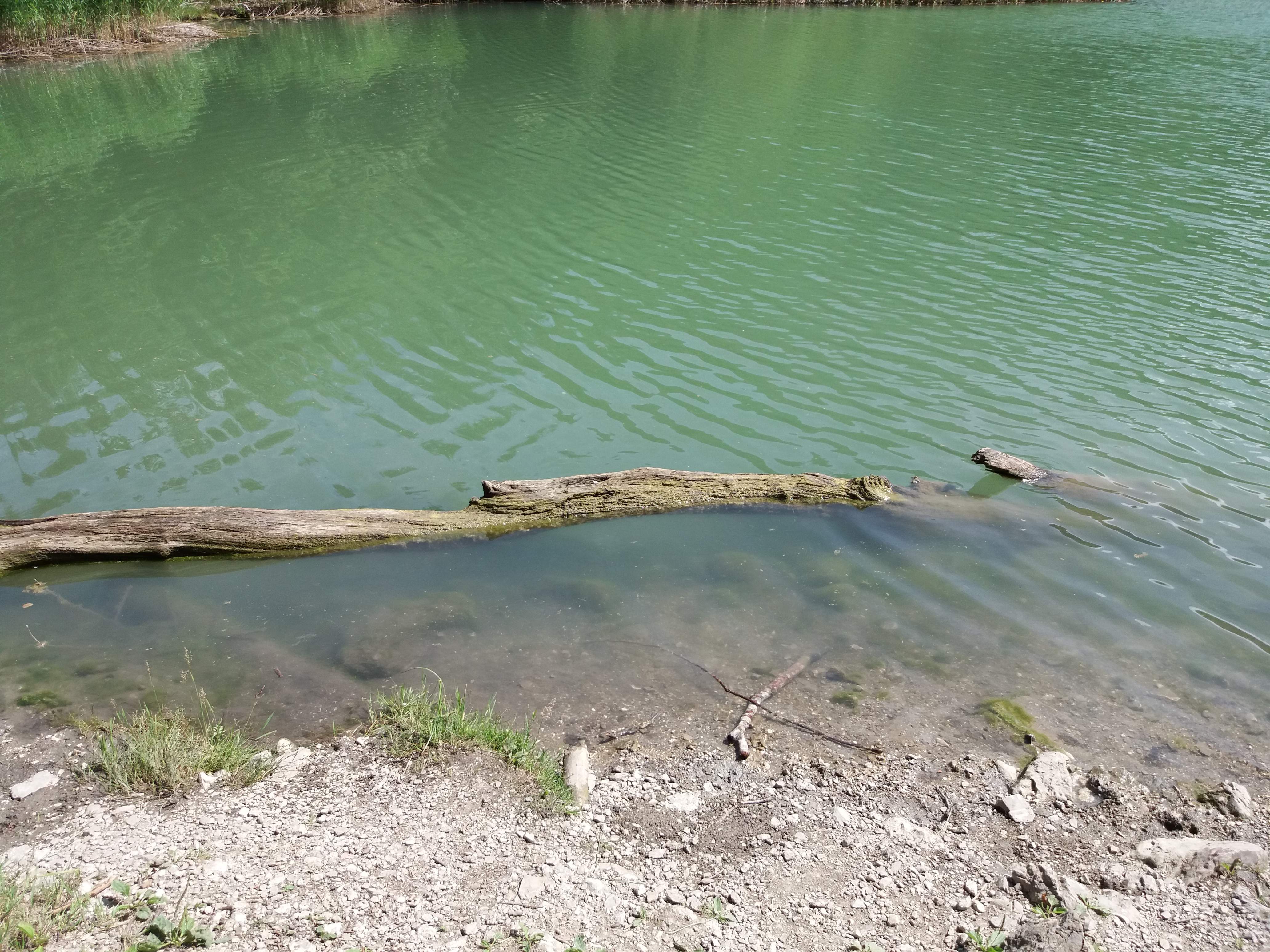 le lac vallon branche photo